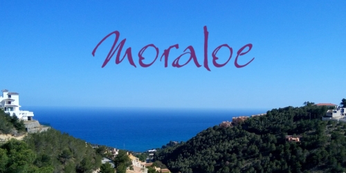 Moraloe Launches New Website!