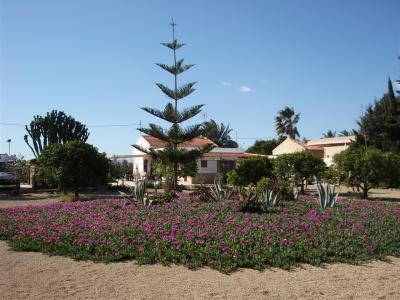 Reventa - Villa - La marina - La Marina Reventa - Villa - La marina - La Marina