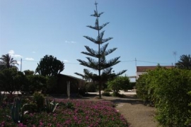 Reventa - Villa - La marina - La Marina