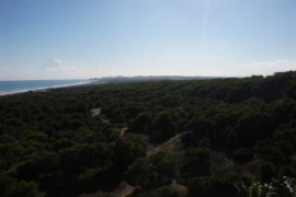 Sale - Penthouse - Guardamar - Portico Mar