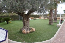 Sale - Chalet - Elche - Matola