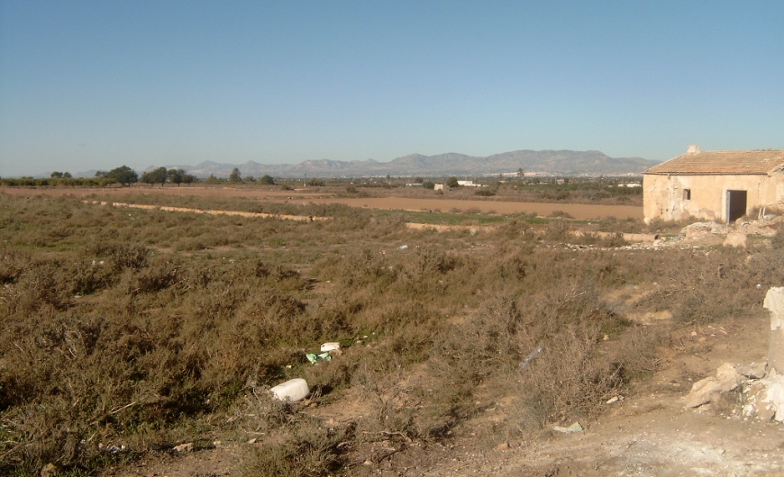 Sale - Grundstück - Elche - La Marina