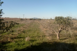 Sale - Grundstück - Elche - La Marina