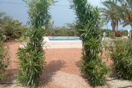 Reventa - Villa - Elche - Las Bayas