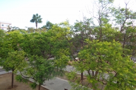 Reventa - Estudio - Elche - La Marina