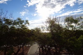 Reventa - Estudio - Elche - La Marina