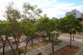 Reventa - Estudio - Elche - La Marina