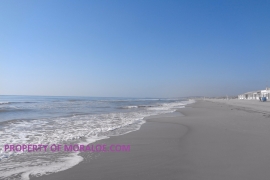 Reventa - Estudio - Elche - La Marina