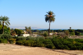 Sale - Dúplex - Elche - La Marina