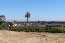 Sale - Dúplex - Elche - La Marina