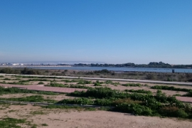 Sale - Villa - La marina - El Pinet