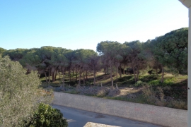 Reventa - Bungalow - Guardamar - Buenavista