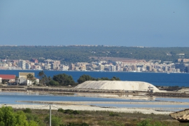 Sale - Apartment - La marina - El Pinet