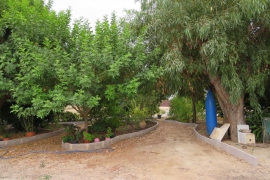 Sale - Landhaus - Elche - Daimes