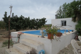 Sale - Landhaus - Elche - Daimes