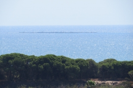 Sale - Apartment - Elche - La Marina