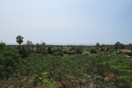 Sale - Apartment - Elche - La Marina