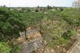 Sale - Apartment - Elche - La Marina