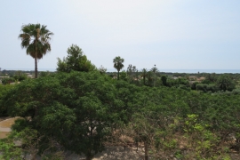 Sale - Apartment - Elche - La Marina