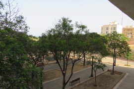 Sale - Studio - Elche - La Marina