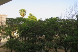 Sale - Studio - Elche - La Marina