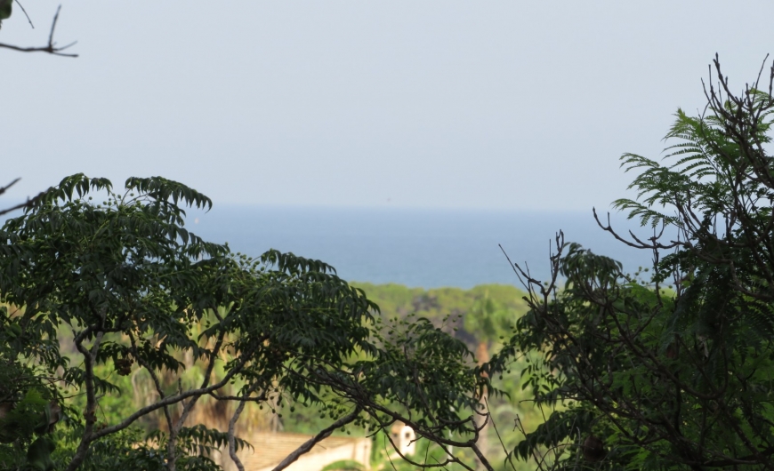 Sale - Studio - Elche - La Marina