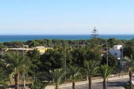 Sale - Apartment - Elche - La Marina