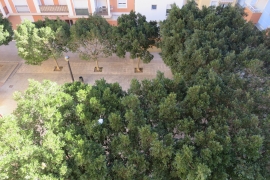 Sale - Apartment - Elche - La Marina