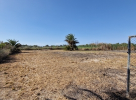 Land - Sale - Elche - La Hoya