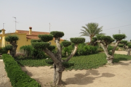 Reventa - Villa - Elche - La Hoya