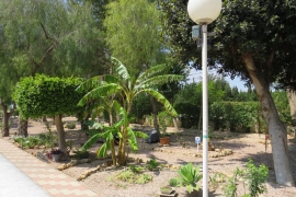 Sale - Reihenhaus - Guardamar - Buenavista